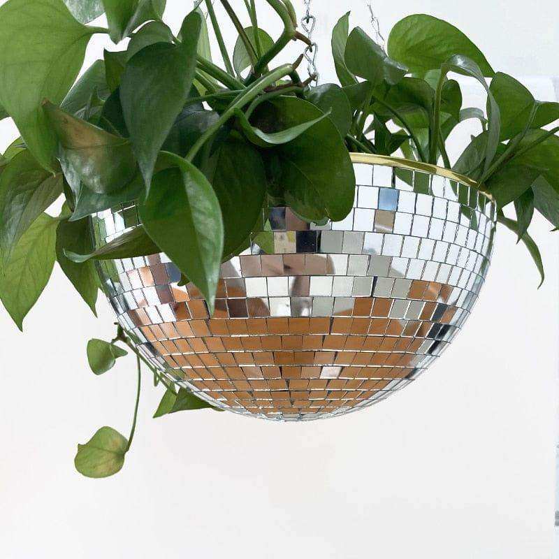 The Disco Planter - Bascora
