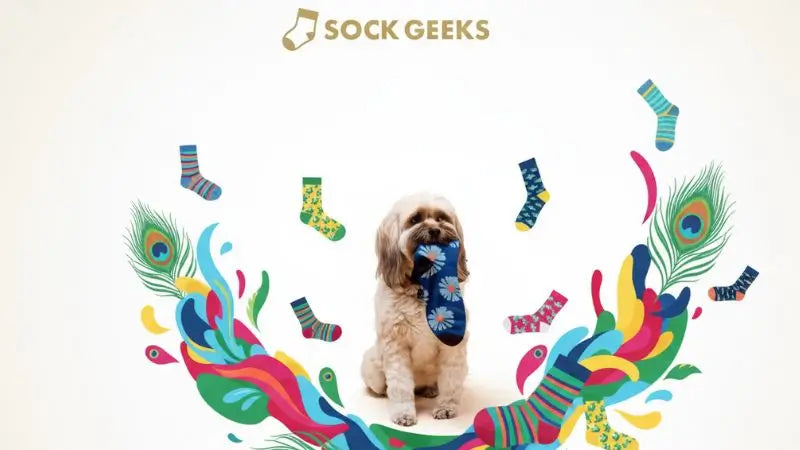 Sock Geeks Collection