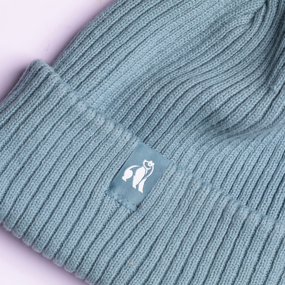Swole Panda Organic Cotton Beanie in Turquoise