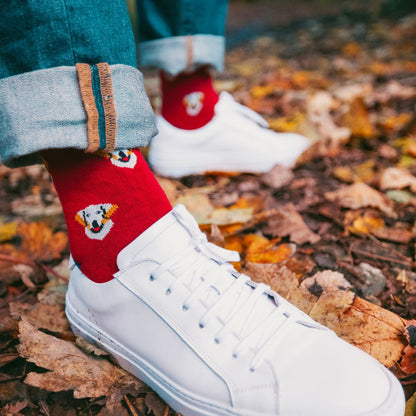 Sustainable Bamboo Socks – Swole Panda