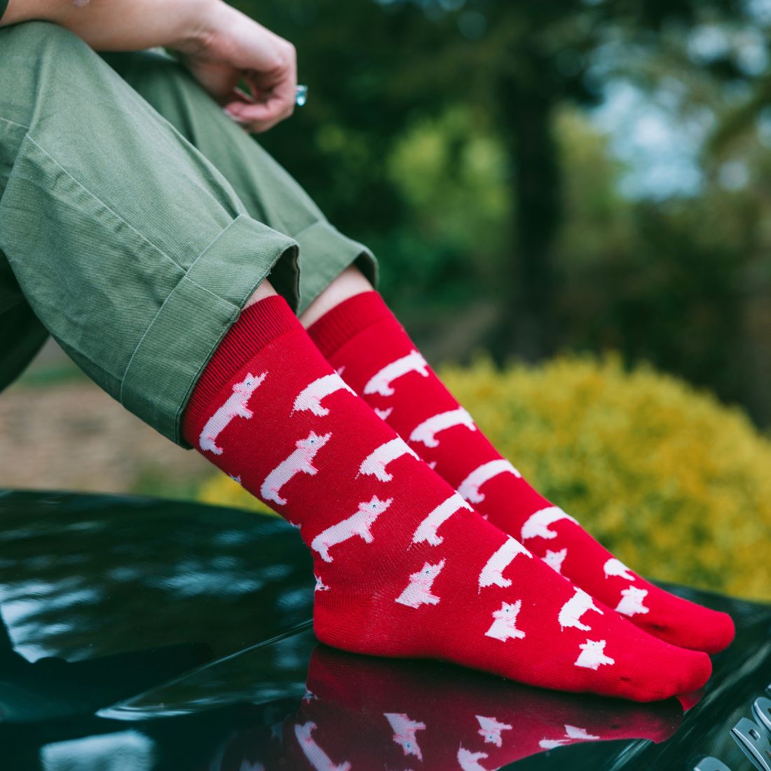 Sustainable Bamboo Socks – Swole Panda