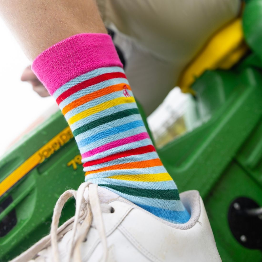 Sustainable Bamboo Socks – Swole Panda