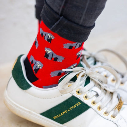 Sustainable Bamboo Socks – Swole Panda