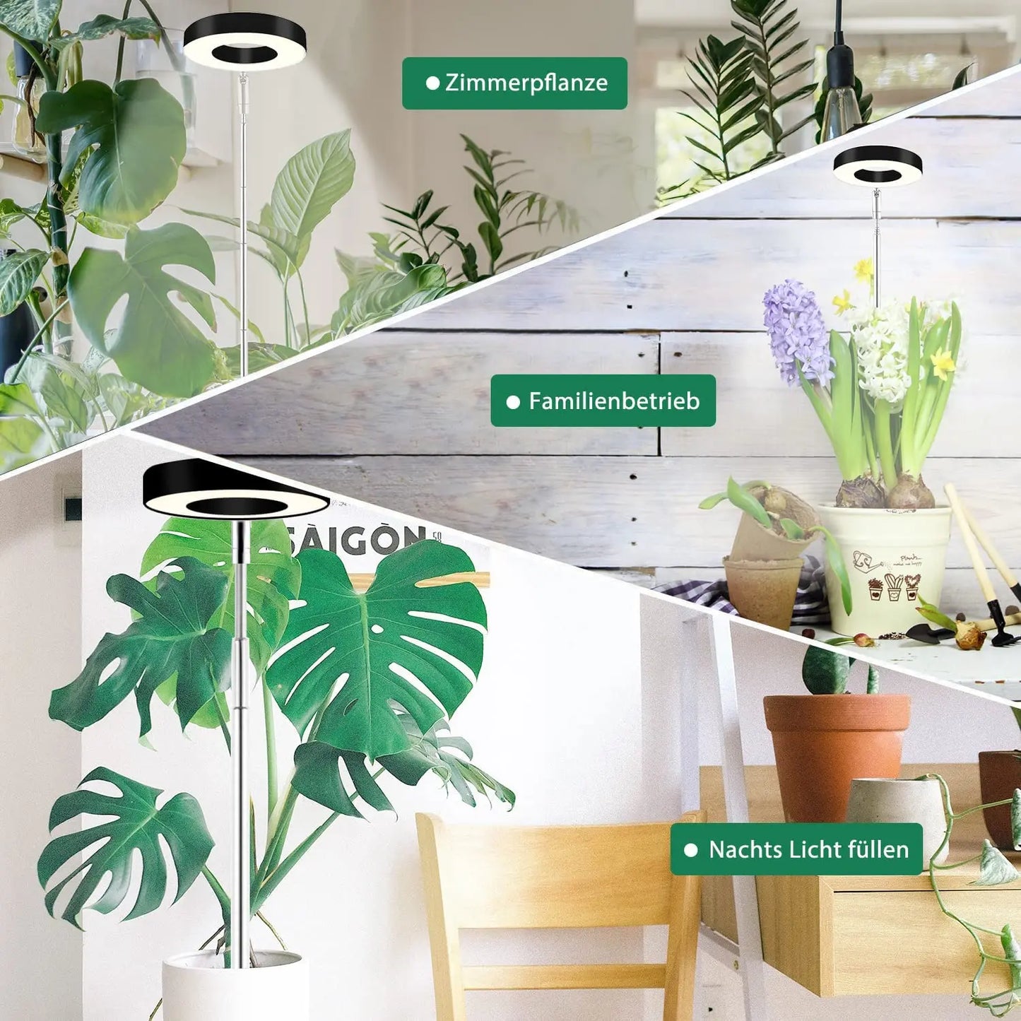 Lampe LED Halo 10 W pour plantes - Spectre complet avec minuterie pour fleurs et graines