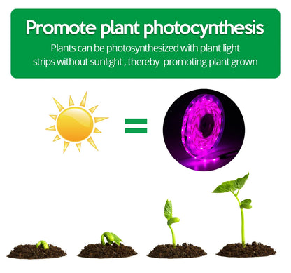 LED Grow Light Strip 5V USB - 2835 Full Spectrum 1M/2M/3M Lengths - Bascora