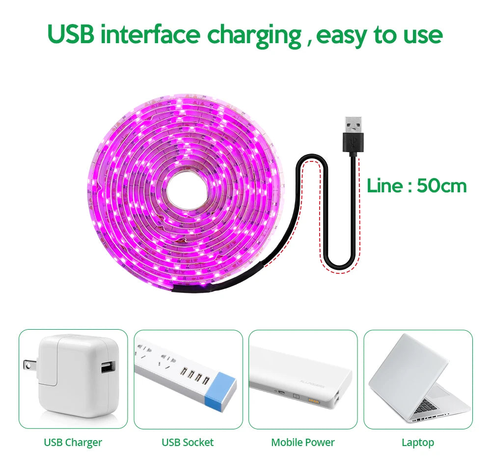 Bande lumineuse LED de croissance 5 V USB - 2835 spectre complet, longueurs 1 m/2 m/3 m
