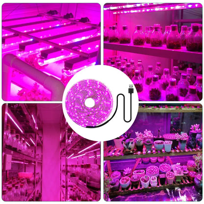 LED Grow Light Strip 5V USB - 2835 Full Spectrum 1M/2M/3M Lengths - Bascora