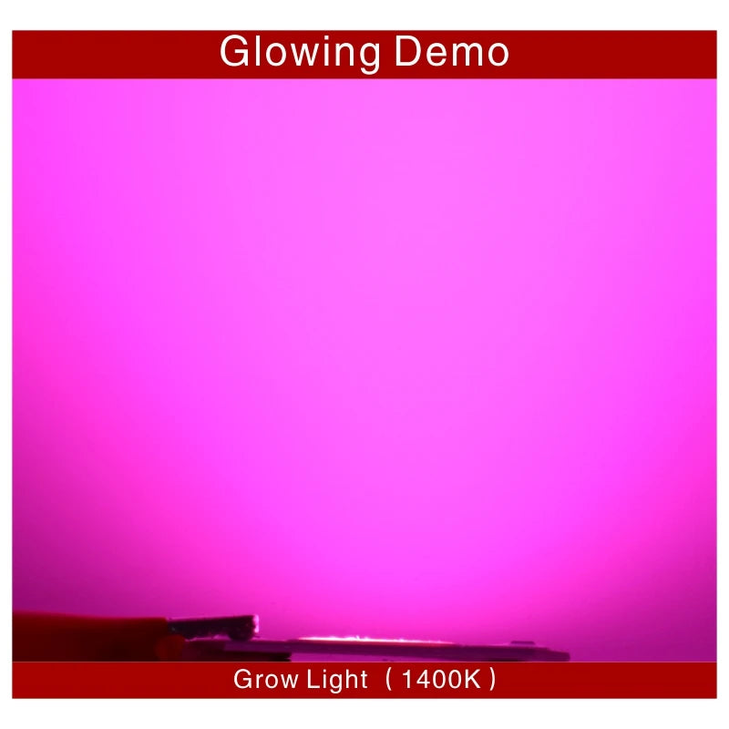 Glowing pink light with 'Glowing Demo' text at the top and 'Grow Light (1400K)' text at the bottom.