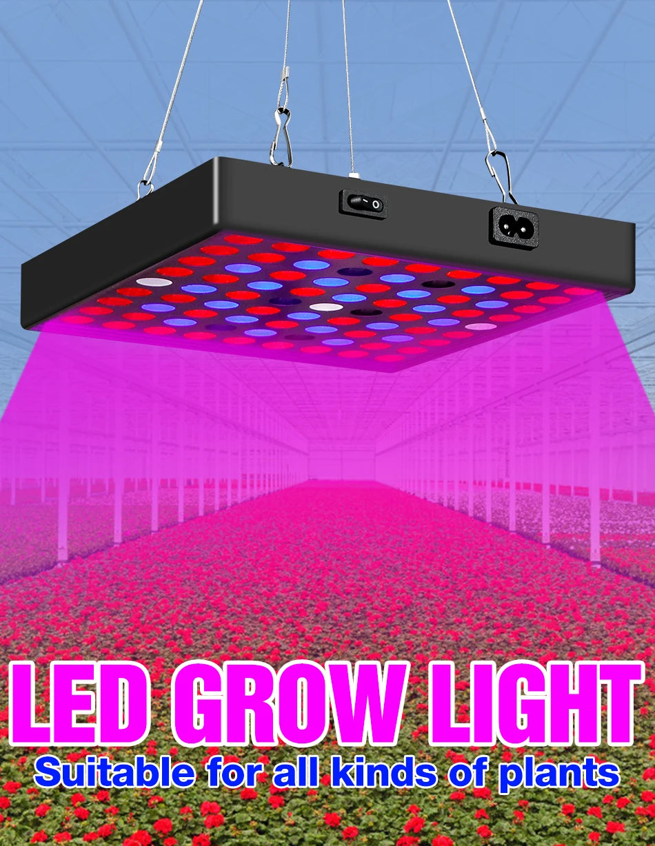 Lampe de culture LED haute puissance 2000 W/3000 W - Phytolampe à spectre complet 2835