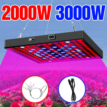 High-Power LED Grow Light 2000W/3000W - 2835 Full Spectrum Phyto Lamp - Bascora