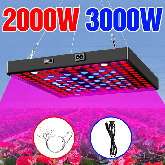 High-Power LED Grow Light 2000W/3000W - 2835 Full Spectrum Phyto Lamp