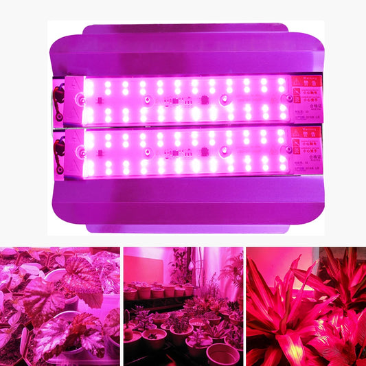 LED Grow Light 50W/100W - Full Spectrum Indoor Greenhouse Lamp