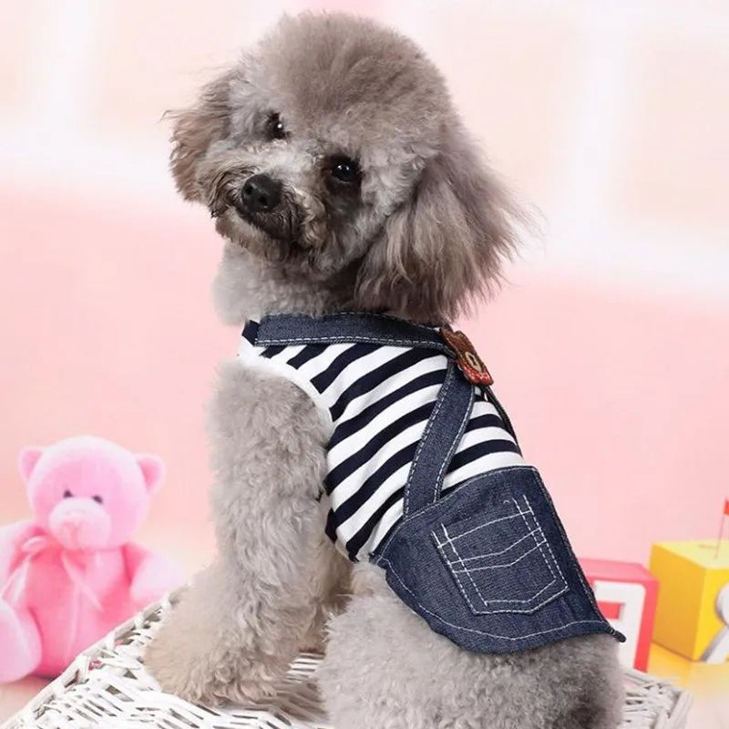 Robes d'été à rayures pour animaux de compagnie