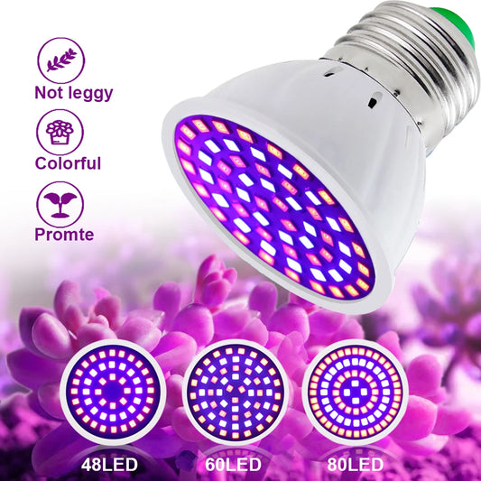 LED grow light with purple and blue LED pattern on a floral background