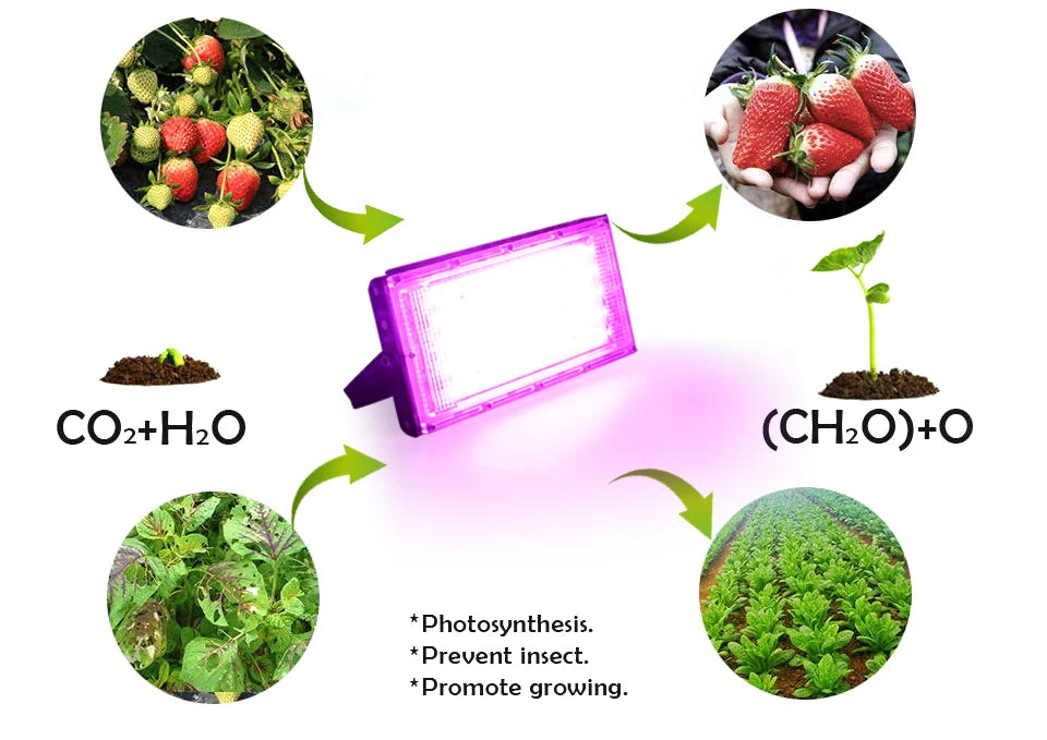LED Grow Light AC220V - Full Spectrum Phytolamp 50W/100W/150W