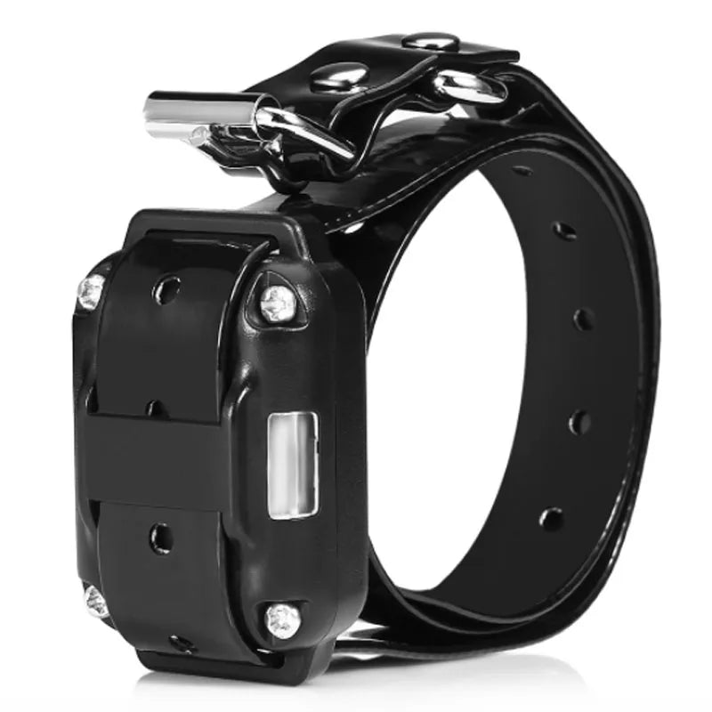 Collier de dressage électrique pour chien - Télécommande étanche avec batterie rechargeable