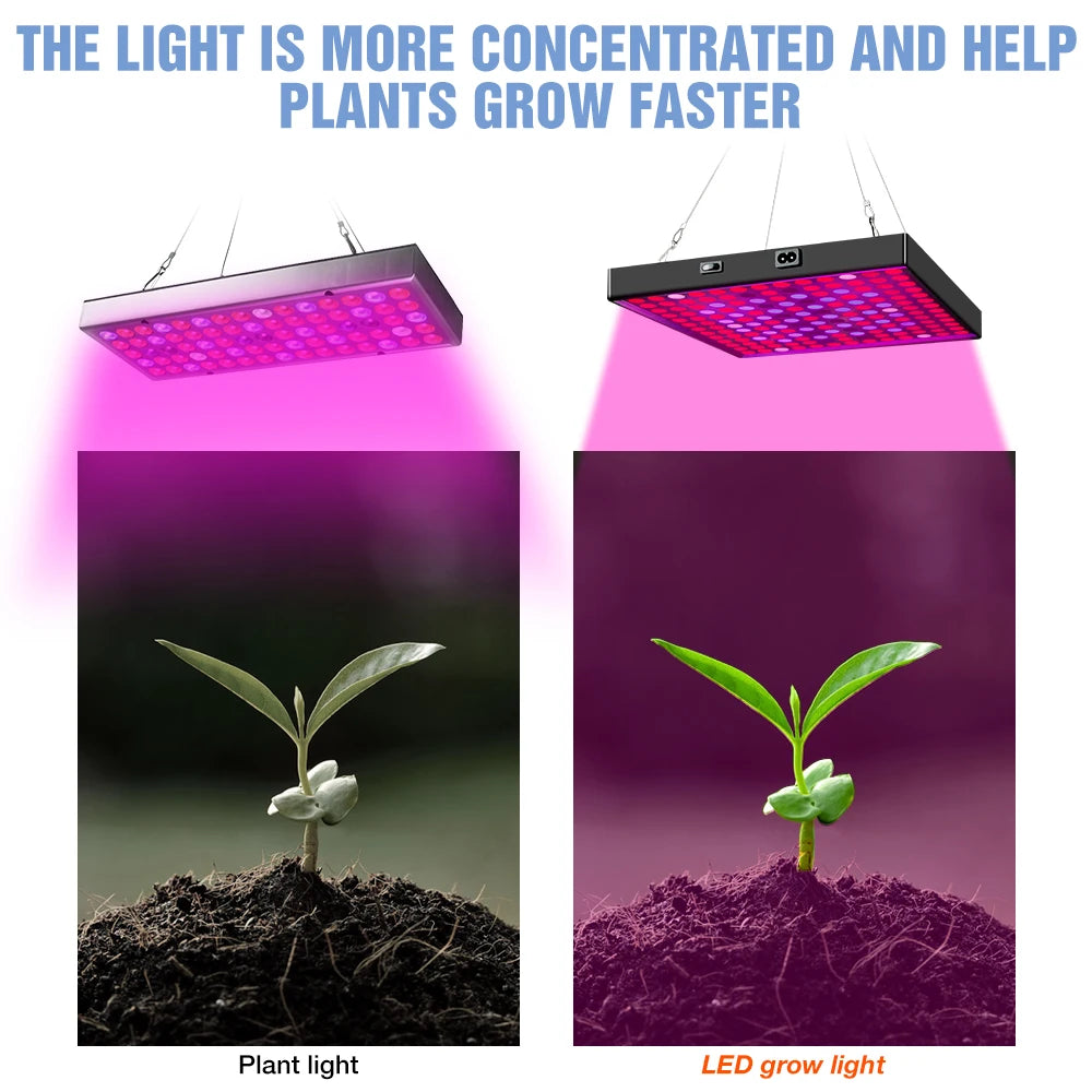 Lampe de culture LED haute puissance 2000 W/3000 W - Phytolampe à spectre complet 2835