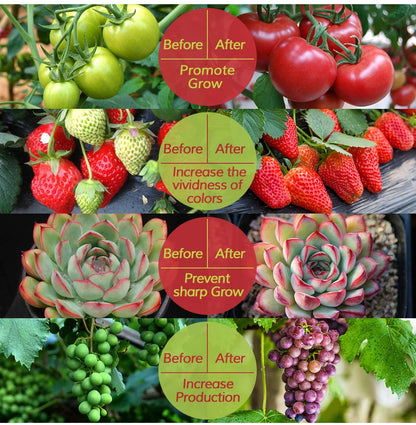 LED Grow Light Strip 5V USB - 2835 Full Spectrum 1M/2M/3M Lengths - Bascora