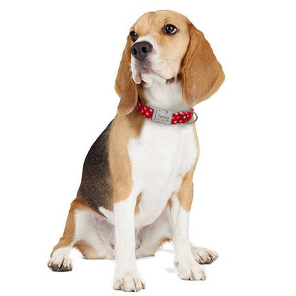 Personalized Dog Collar - Nylon Pet Collar with ID Engrave - Bascora
