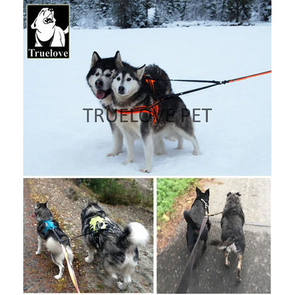 Truelove Double Dog Leash - Bascora
