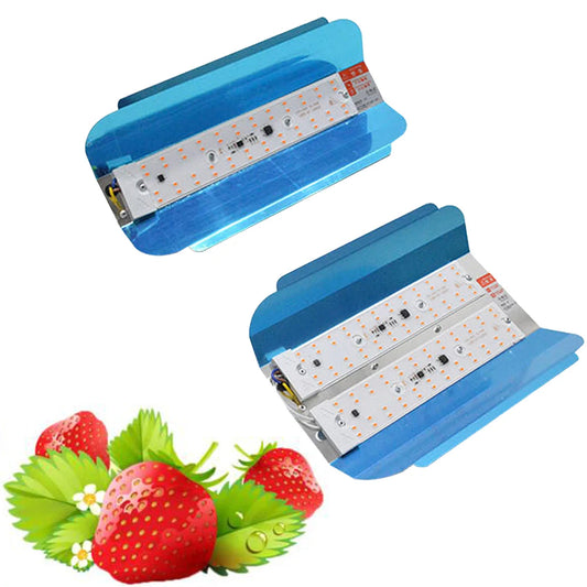 LED Grow Light 50W/100W - Full Spectrum Indoor Greenhouse Lamp