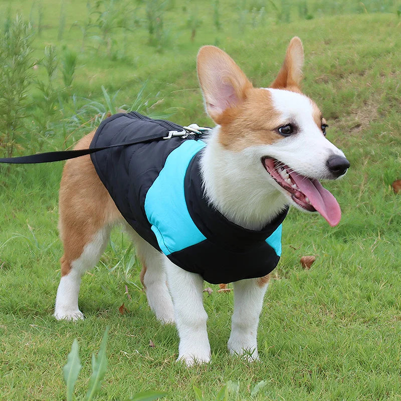 Waterproof Big Dog Vest Jacket