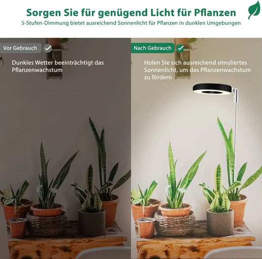 10W LED Halo Plant Lamp - Full Spectrum with Timer for Flowers & Seeds