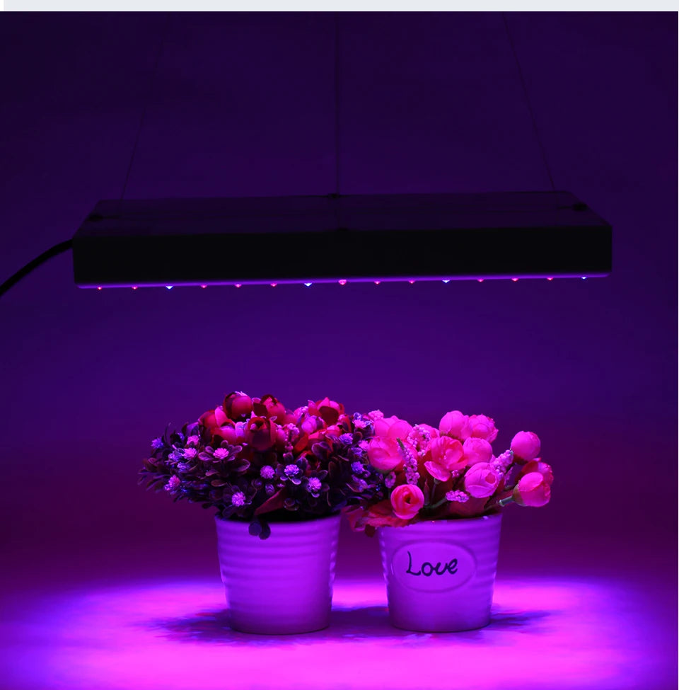 LED Grow Light AC220V - Full Spectrum Phytolamp 50W/100W/150W