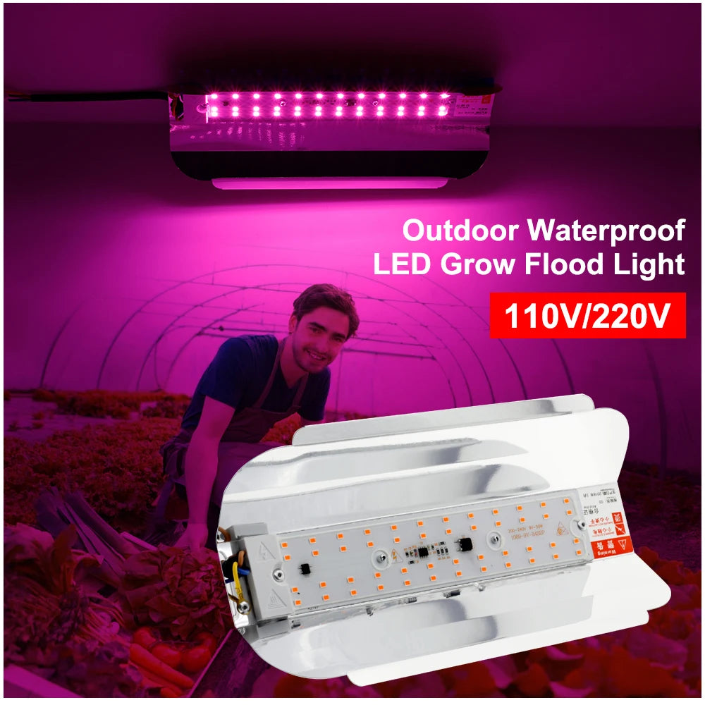 LED Grow Light 50W/100W - Full Spectrum Indoor Greenhouse Lamp