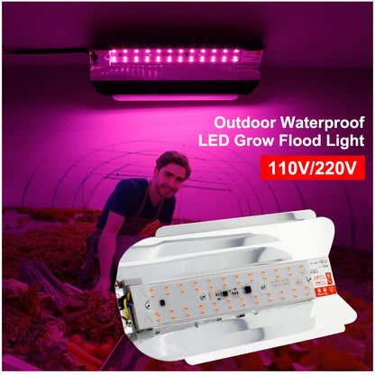 LED Grow Light 50W/100W - Full Spectrum Indoor Greenhouse Lamp - Bascora