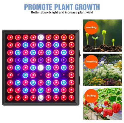 High-Power LED Grow Light 2000W/3000W - 2835 Full Spectrum Phyto Lamp - Bascora