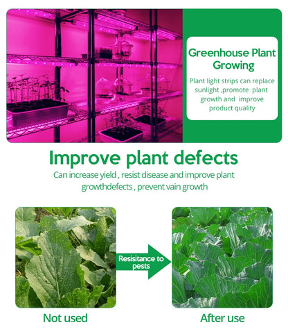 LED Grow Light Strip 5V USB - 2835 Full Spectrum 1M/2M/3M Lengths - Bascora