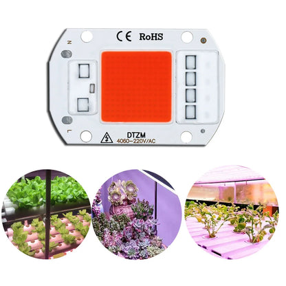 COB LED Grow Light Chip - AC220V Full Spectrum No Driver Needed - Bascora