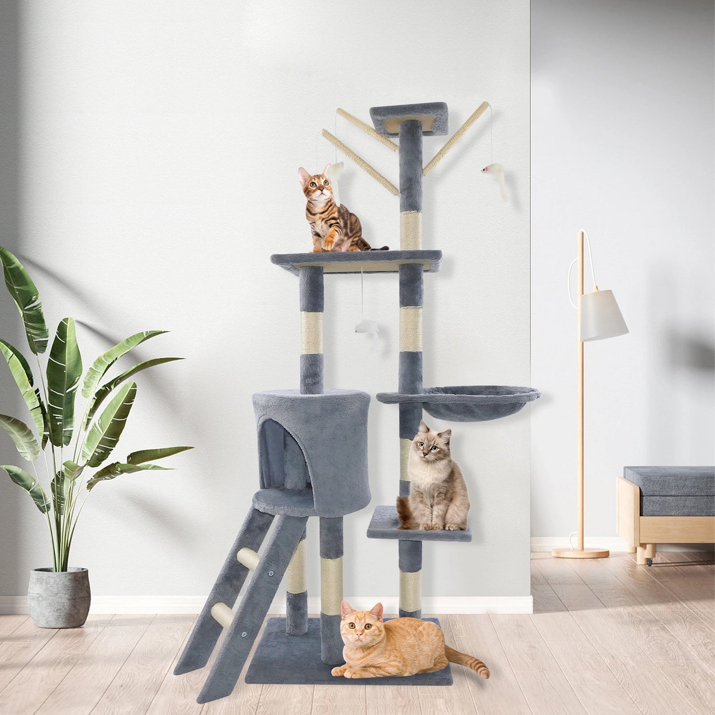 Arbre à chat à plusieurs étages - Accessoires pour animaux de compagnie haut de gamme