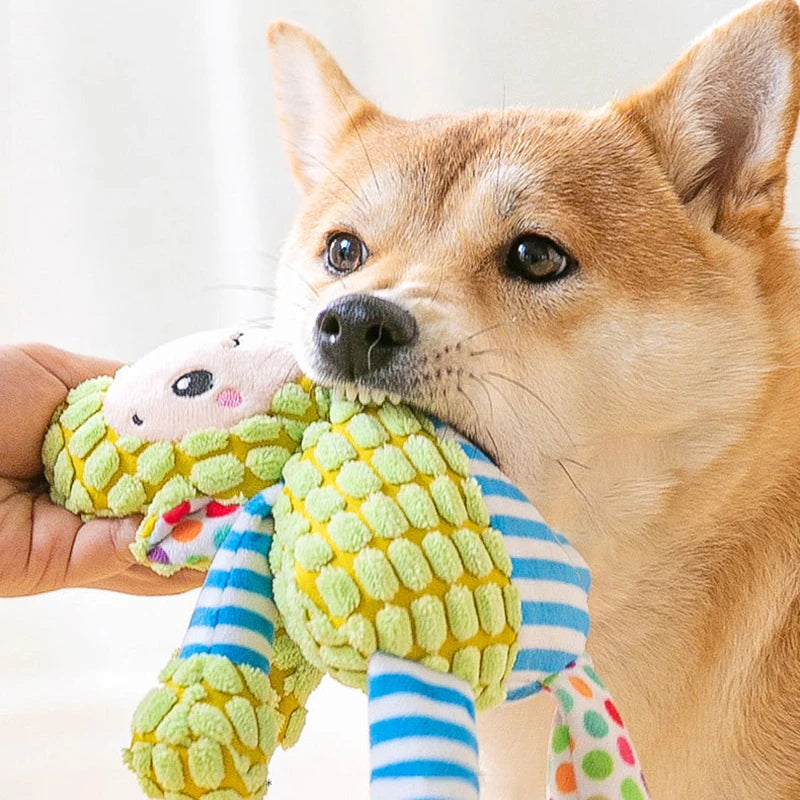 Jouet en peluche pour animaux de compagnie - Jouet interactif couineur pour animaux avec nettoyage des dents