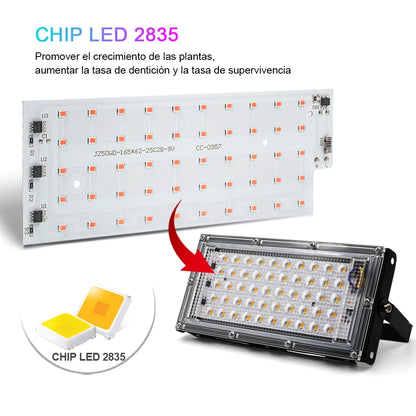 LED Grow Light AC220V - Full Spectrum Phytolamp 50W/100W/150W - Bascora