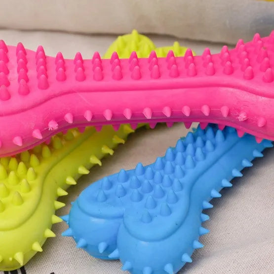 Jouets à mâcher en caoutchouc pour petits chiens - Résistants aux morsures, pour l'entraînement et le nettoyage des dents
