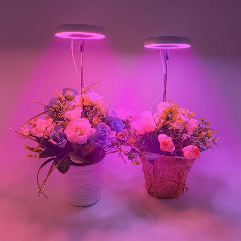 LED Grow Light Full Spectrum - USB 5V with Timer & Height Adjustment