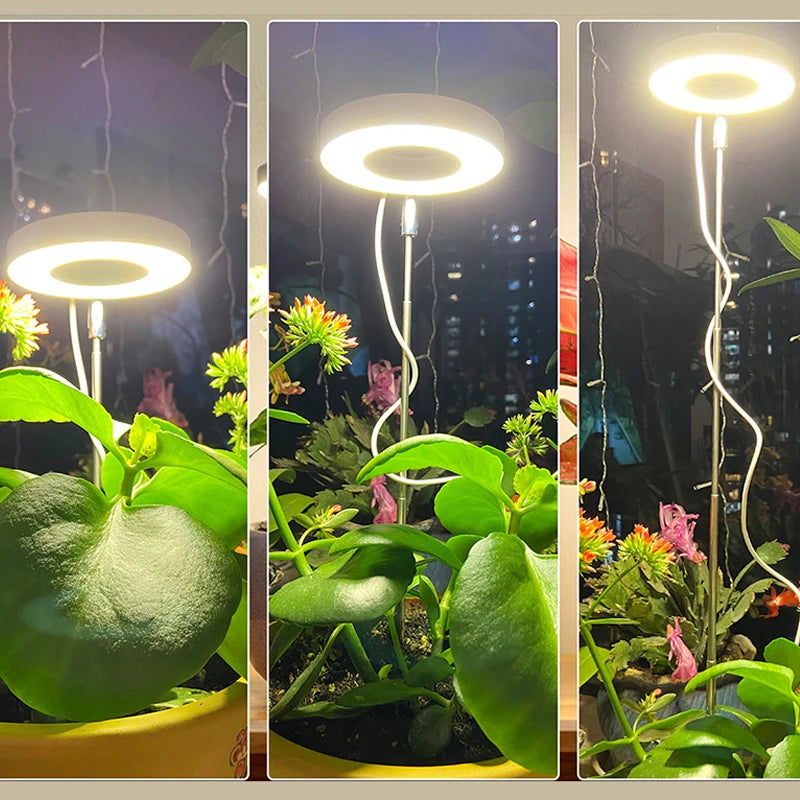 LED Grow Light Full Spectrum - USB 5V with Timer & Height Adjustment