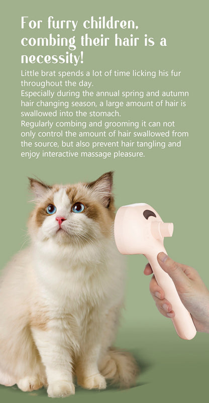 Steam Massage Pet Brush - Safe Round Head with Spray Hair Removal - Bascora