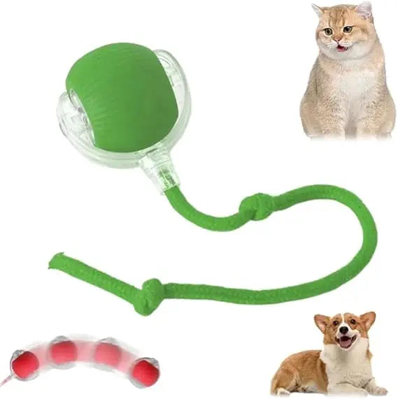 Speedy Tail 2.0 Smart Interactive Rolling Cat Toy Ball