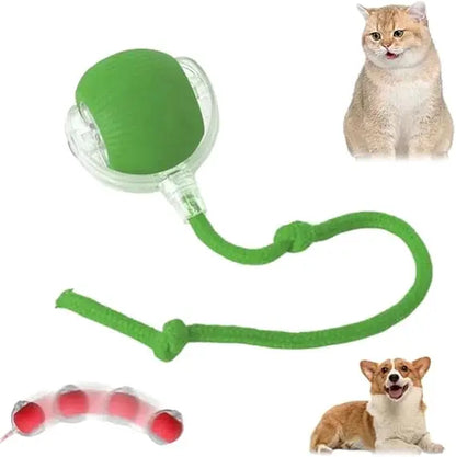 Speedy Tail 2.0 Smart Interactive Rolling Cat Toy Ball - Bascora