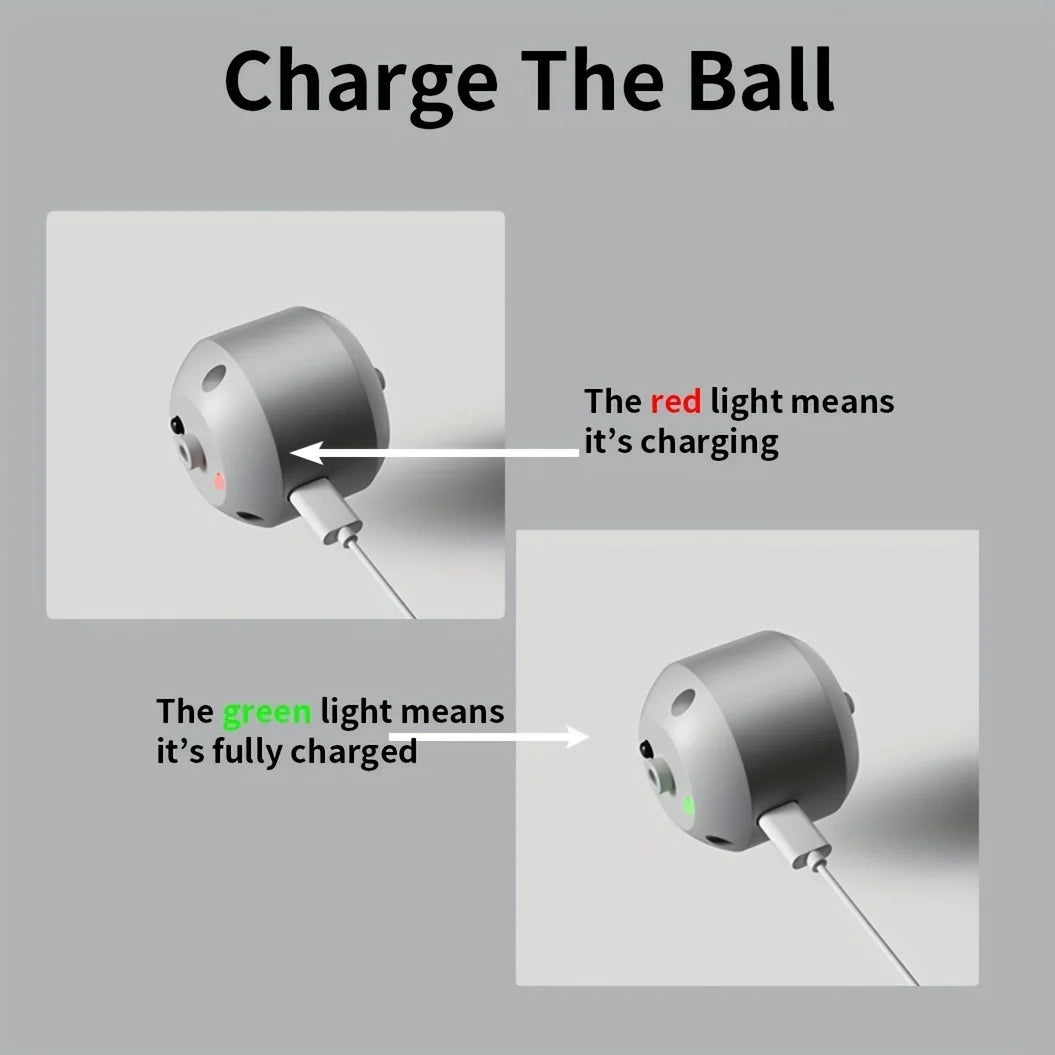 Interactive Pet Toy Ball