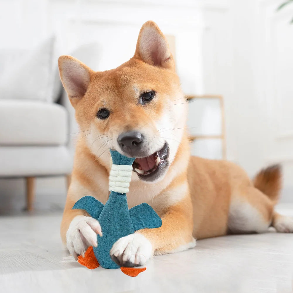 Jouet sonore pour chien et chat résistant aux morsures