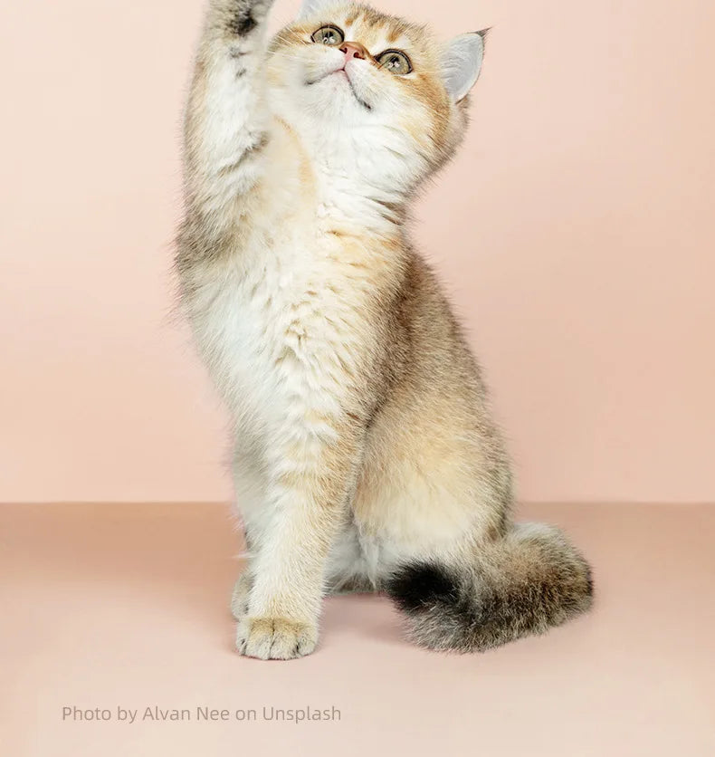 Afeitadora de patas para mascotas - Recortadora de pelos de patas