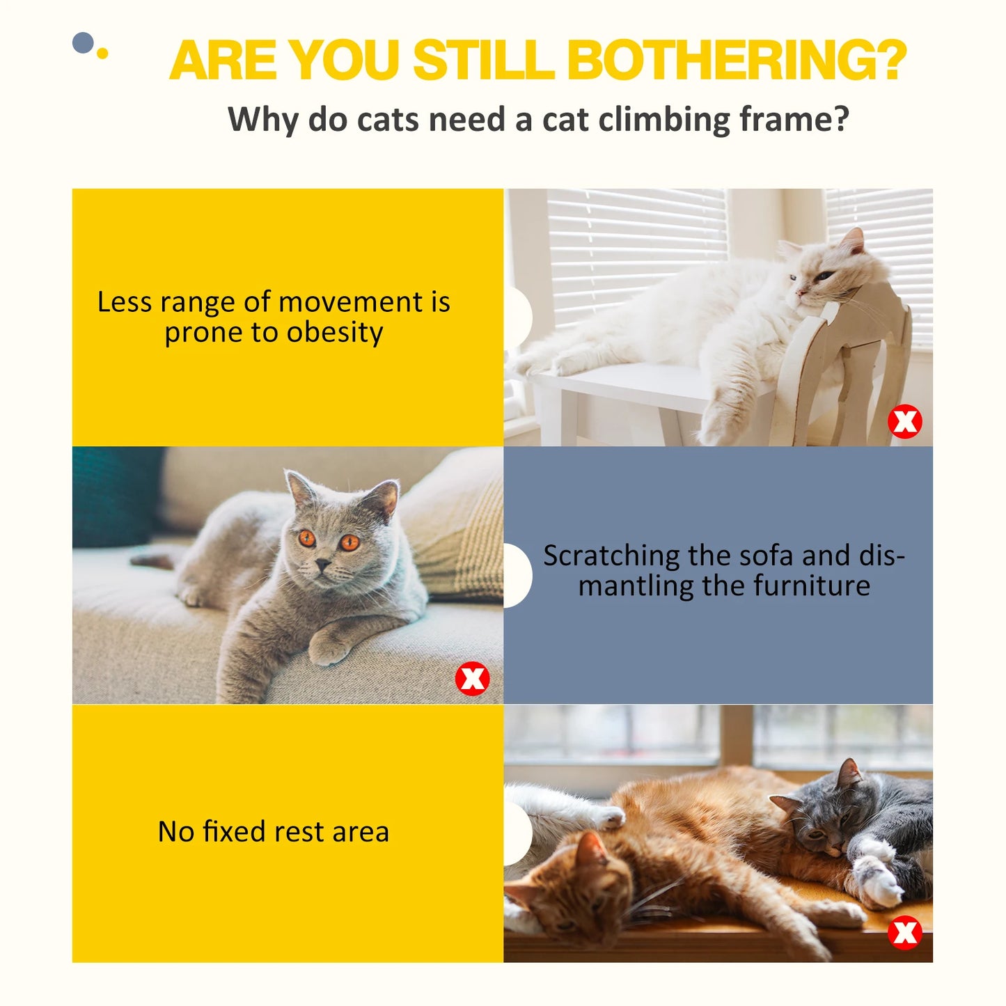 Arbre à chat à plusieurs étages - Accessoires pour animaux de compagnie haut de gamme