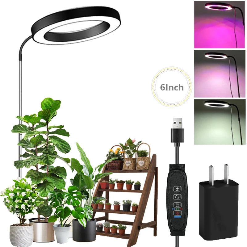 Lámpara LED de cultivo con cuello de cisne de 360° - Espectro completo rojo y azul con 3 modos de luz