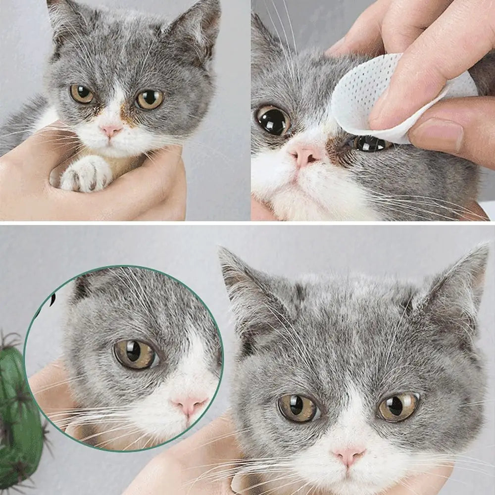 Premium Pet Eye Wipes for Cats and Dogs