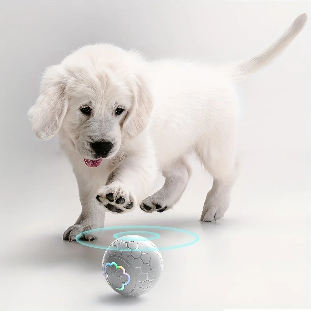 Interactive Pet Toy Ball