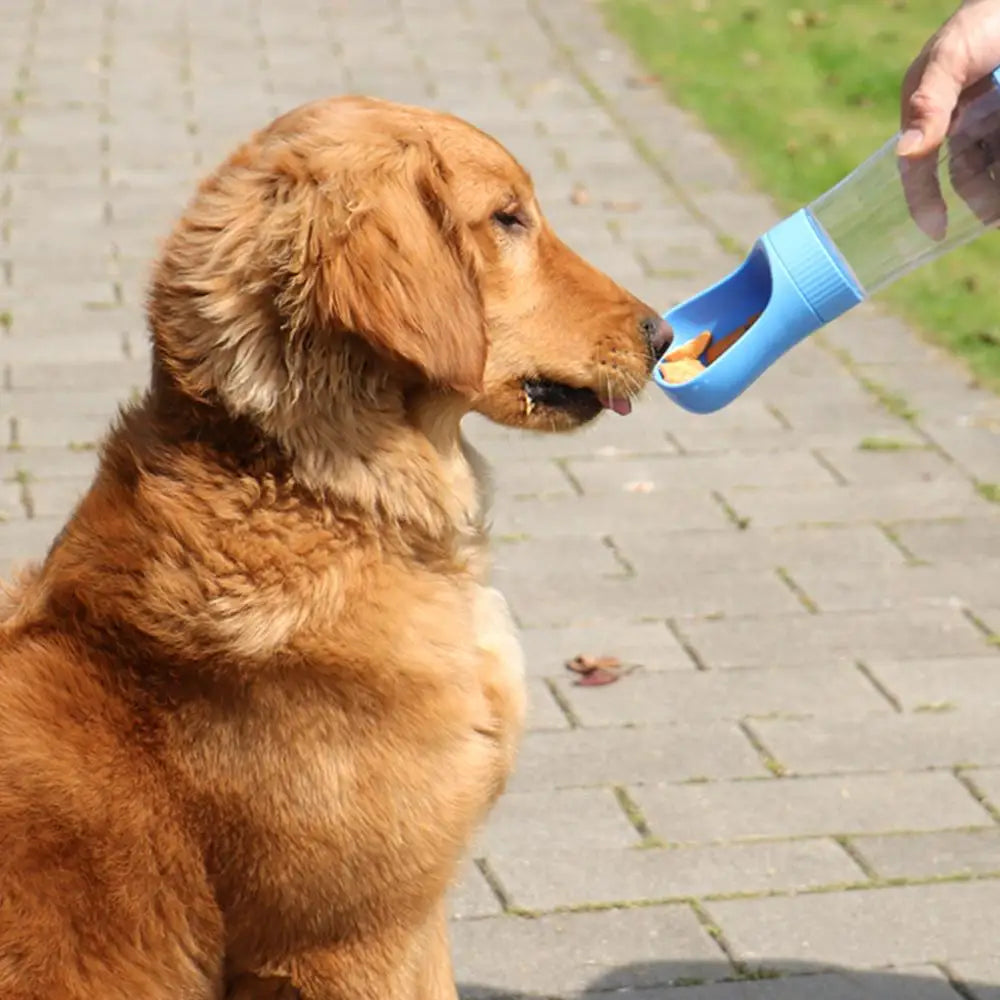 Portable Pet Water Bottle & Food Container